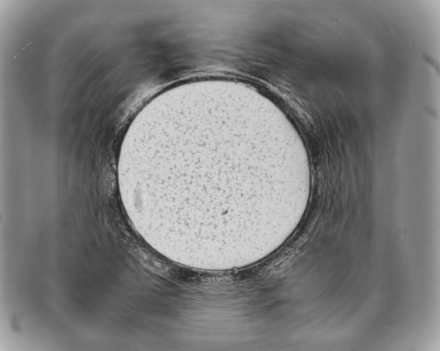 X0000097821363200804111006