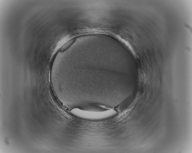 X0000097821365200804111006