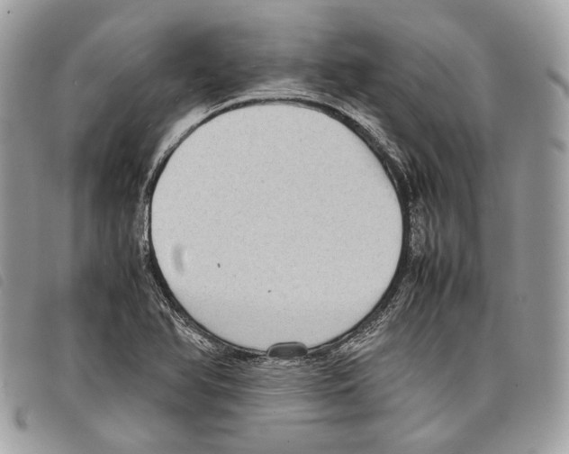 X0000097821366200804111006