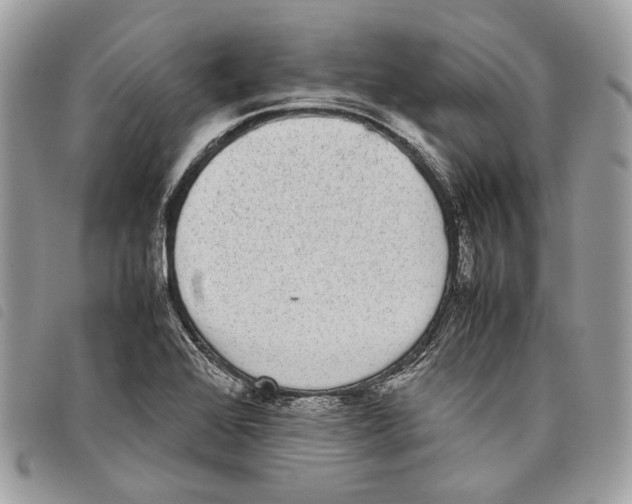 X0000097821368200804111006