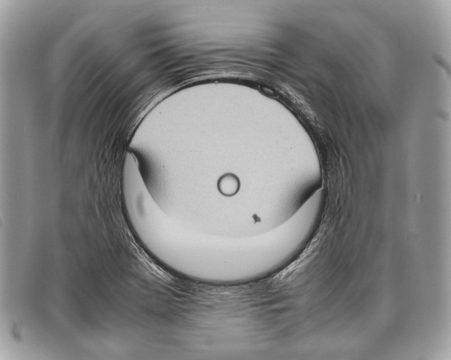 X0000097821369200804111006