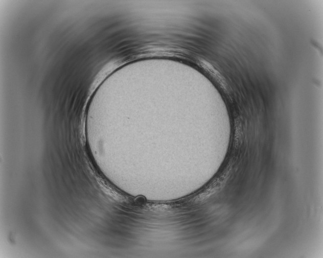 X0000097821370200804111006