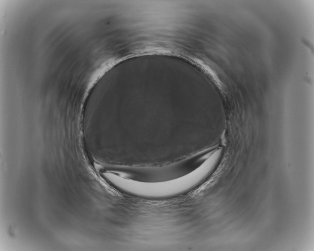 X0000097821373200804111005