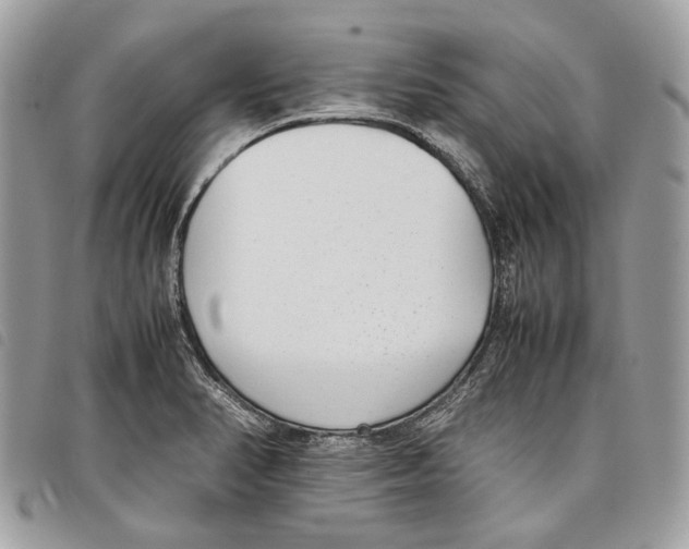 X0000097821374200804111005