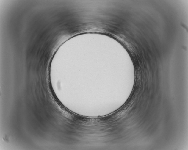 X0000097821375200804111005