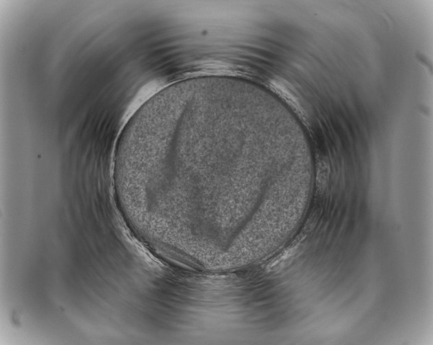 X0000097821378200804111005