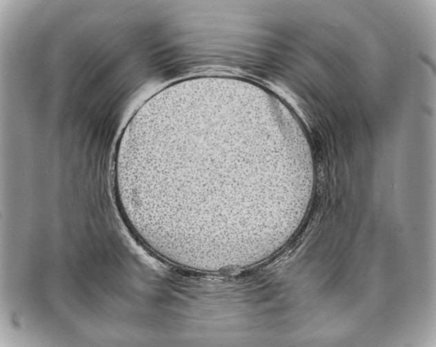 X0000097821379200804111005