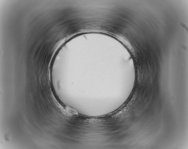 X0000097821380200804111005