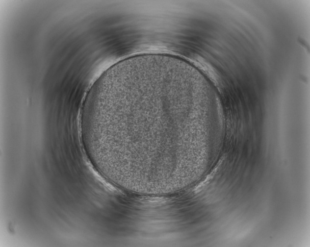 X0000097821382200804111005