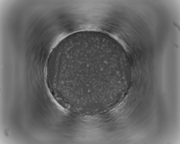 X0000097821383200804111005