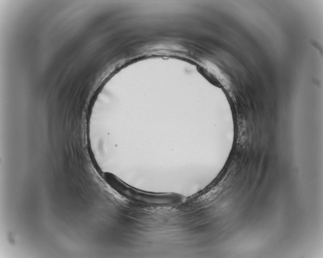 X0000097821384200804111005