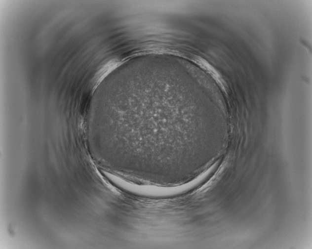 X0000097821385200804111005