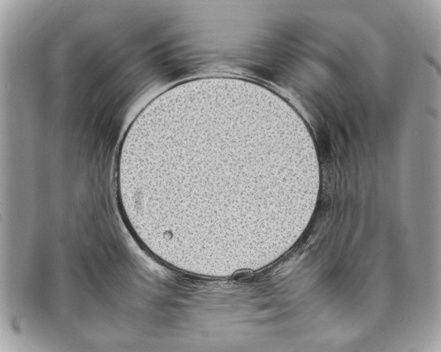 X0000097821387200804111005