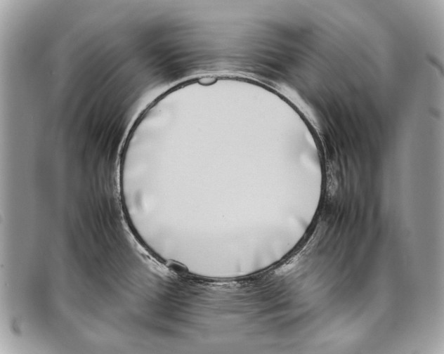 X0000097821388200804111005