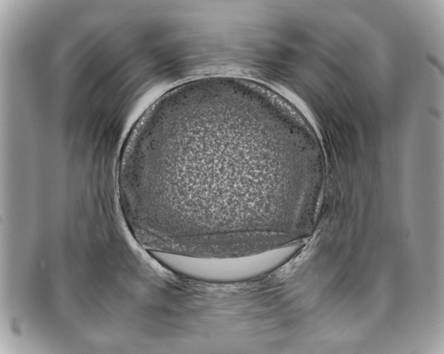 X0000097821389200804111005