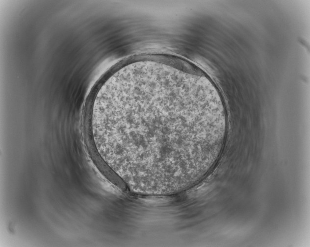 X0000097821392200804111005