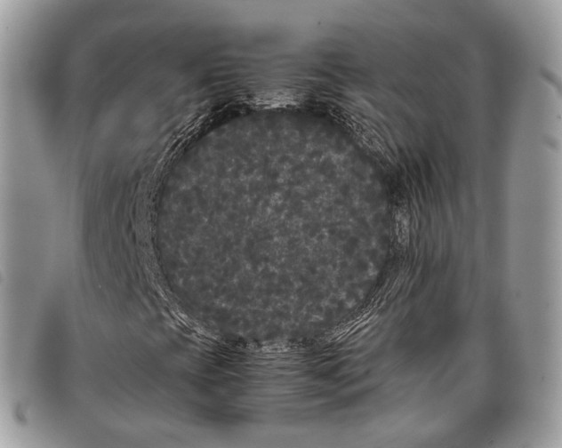 X0000097821393200804111004