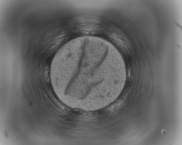 X0000097821396200804111004