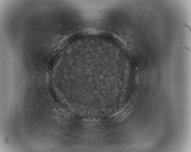 X0000097821397200804111004