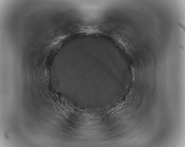 X0000097821398200804111004