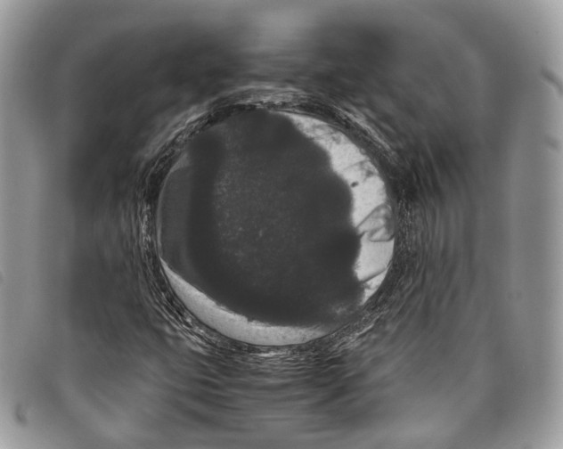 X0000097821399200804111004