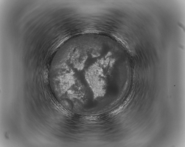 X0000097821401200804111004