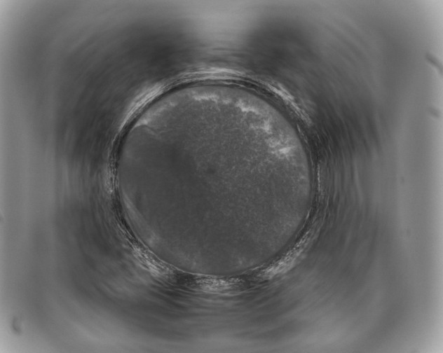 X0000097821405200804111004