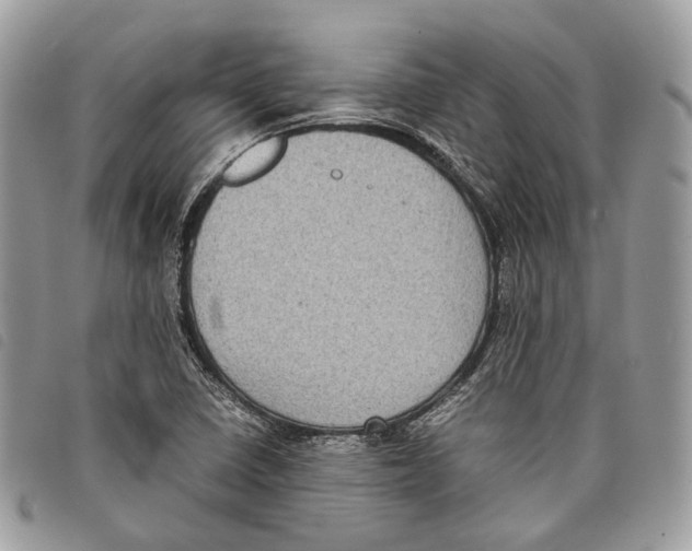 X0000097821410200804111004