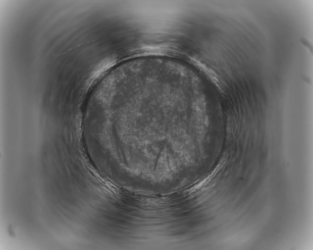 X0000097821411200804111004