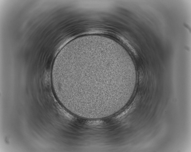 X0000097821417200804111005