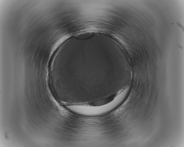 X0000097821418200804111005