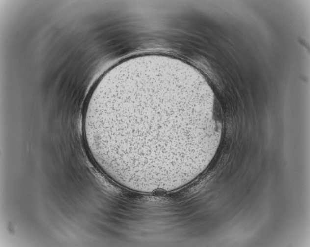 X0000097821420200804111005