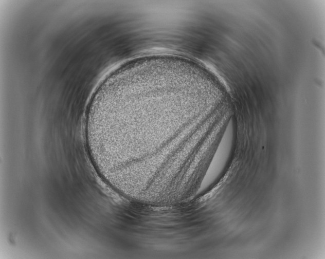 X0000097821421200804111005