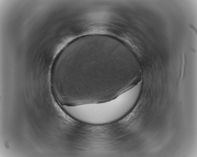 X0000097821422200804111005