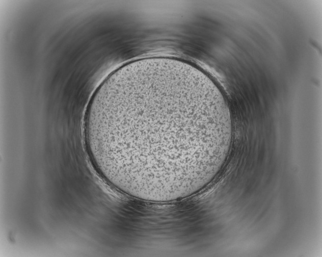 X0000097821423200804111005