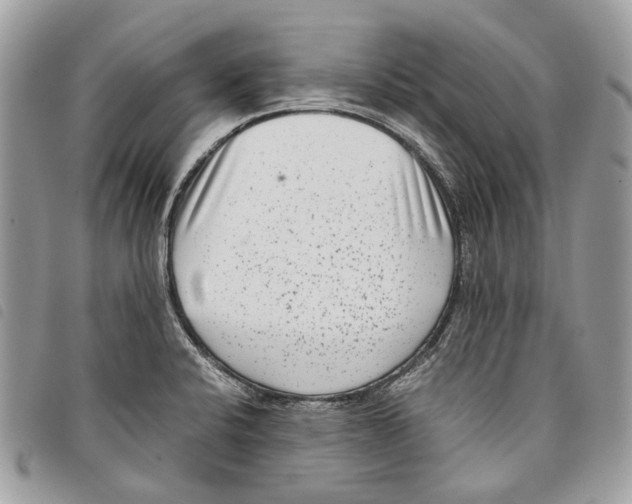 X0000097821424200804111005