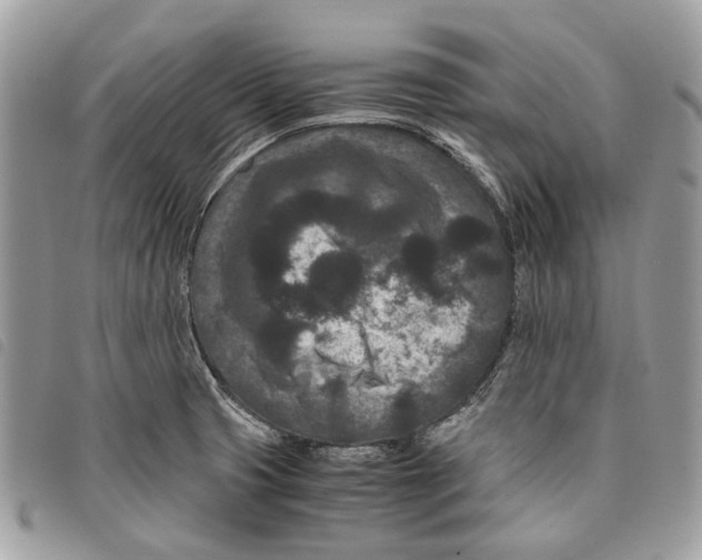 X0000097821425200804111005