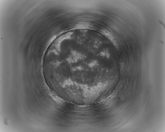 X0000097821427200804111005