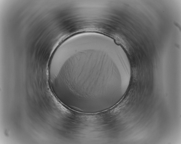 X0000097821428200804111005