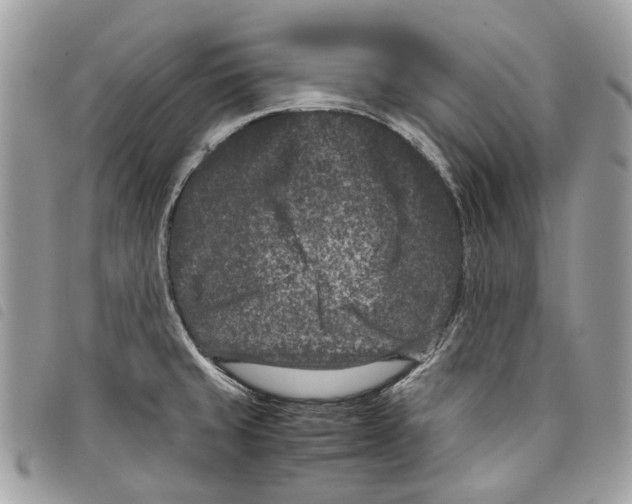 X0000097821429200804111005