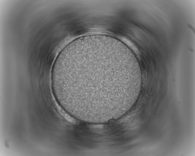 X0000097821431200804111005