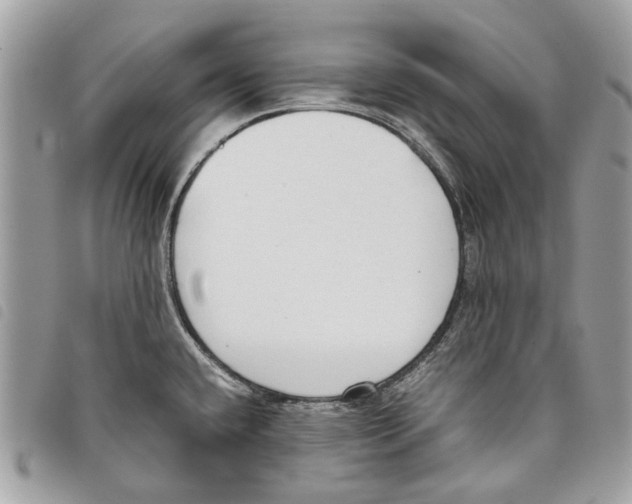 X0000097821432200804111005