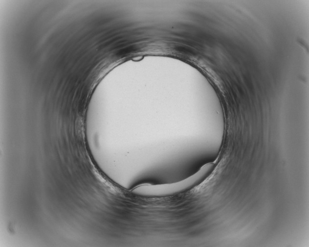 X0000097821433200804111005