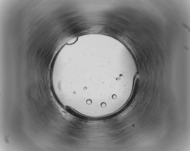 X0000097821434200804111005