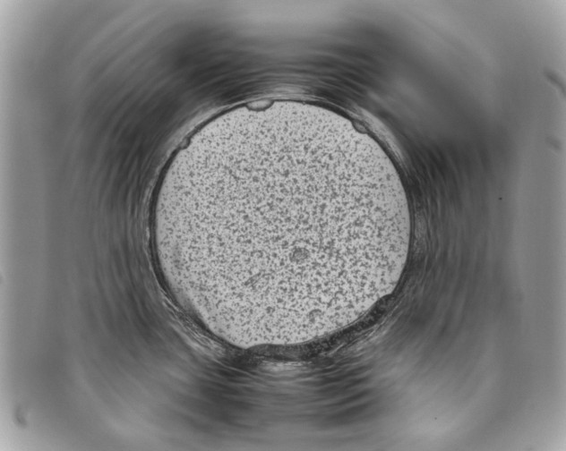 X0000097821435200804111005