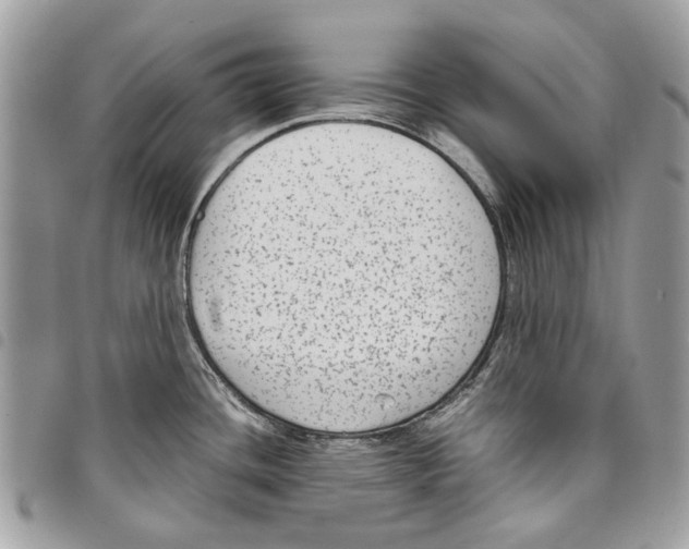 X0000097821436200804111005