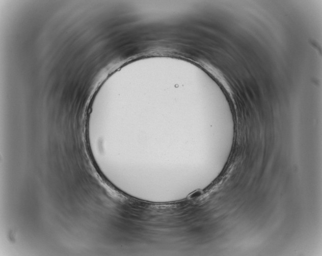 X0000097821437200804111005