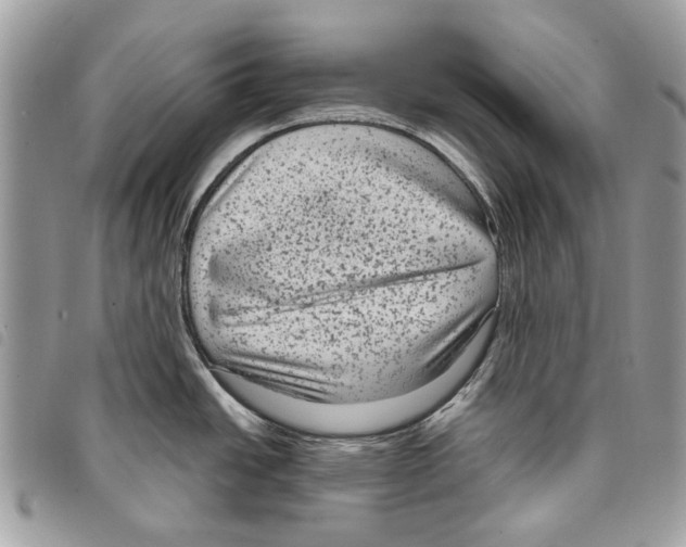 X0000097821438200804111005