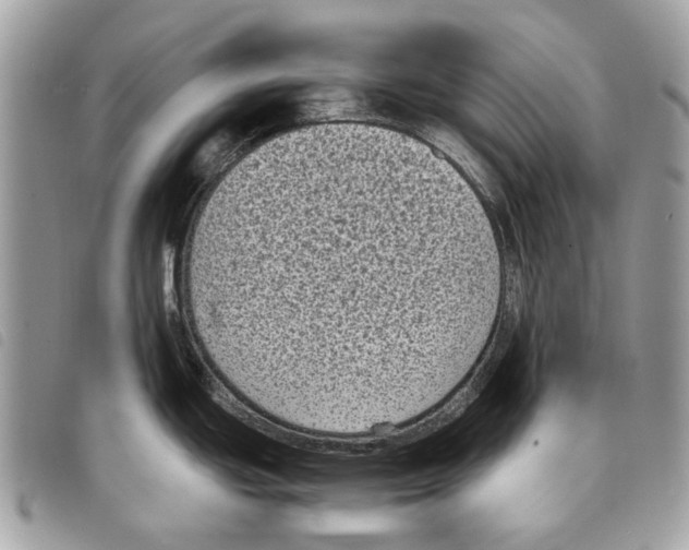 X0000097821439200804111005