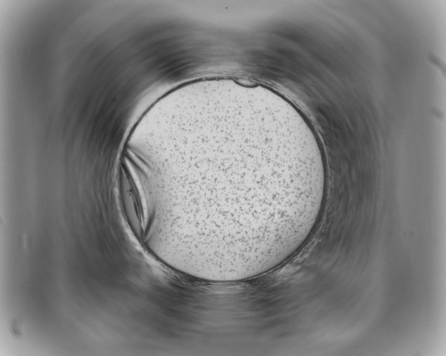 X0000097821440200804111005